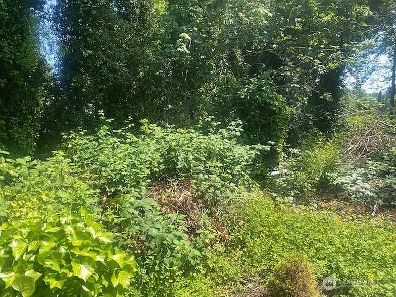 3rd image of 0 Arrowsmith Avenue S