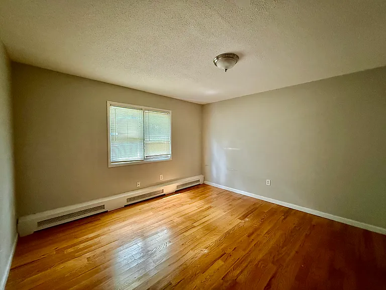 239 Fitch St #2C — Photo 8