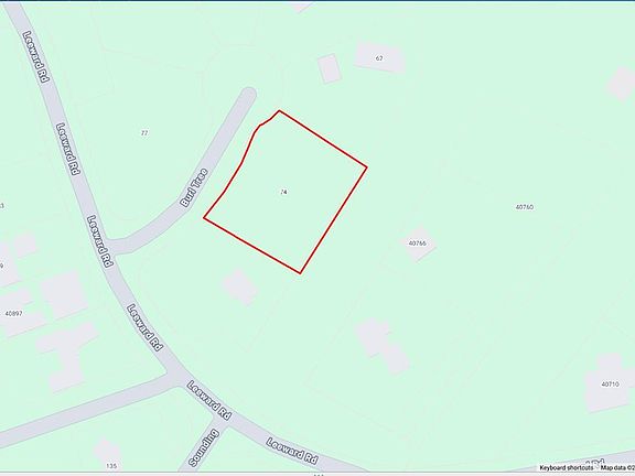 3rd image of 74 Burl Tree