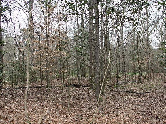 4th image of 7817 Perry Town Rd