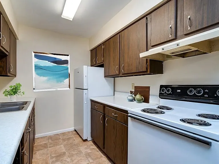 Spring Creek Apartments — Photo 6