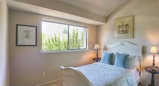 4th image of 436 Mountain Laurel Ct