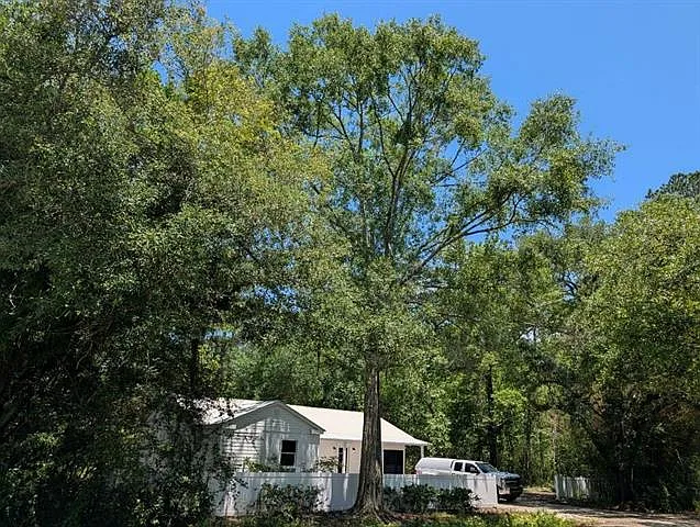 35283 Fleetwood Dr — Photo 36