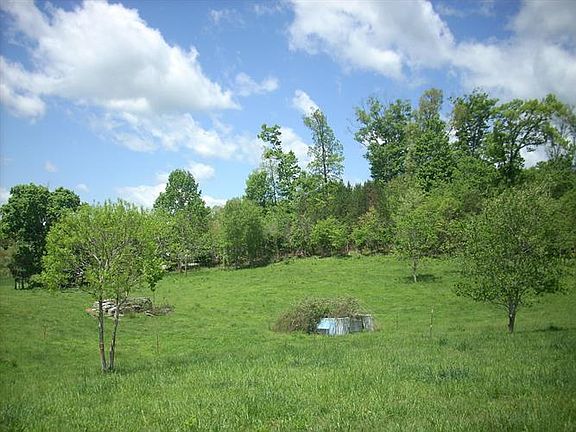 4th image of Walker Ct