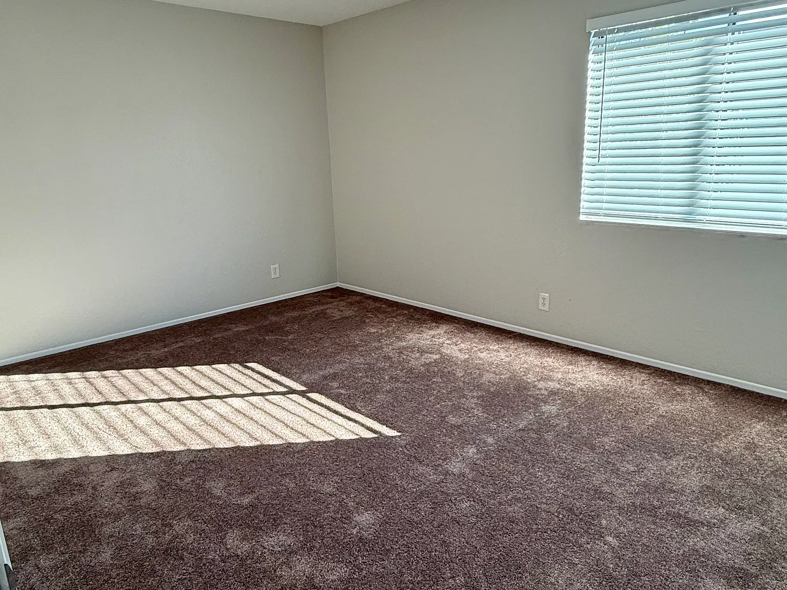 2 bed, 1202 sqft, $2,350 — Photo 4