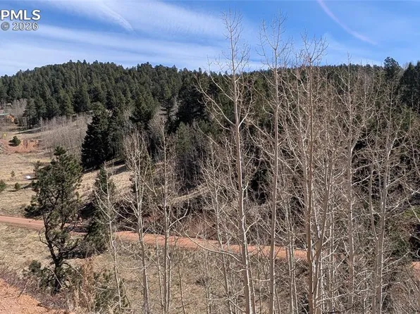 170 Valley Rd, Divide, CO 80814
