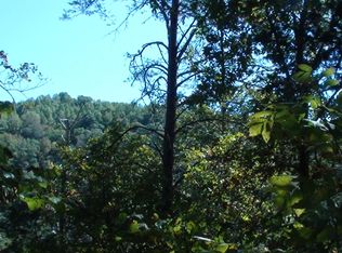 Chestnut Ridge Rd, Sneedville, TN 37869