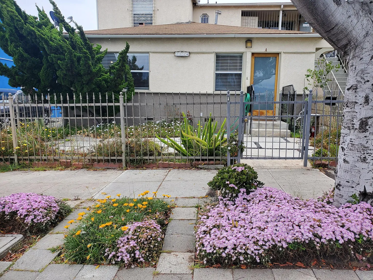 1 bed, 900 sqft, $2,799 — Photo 1