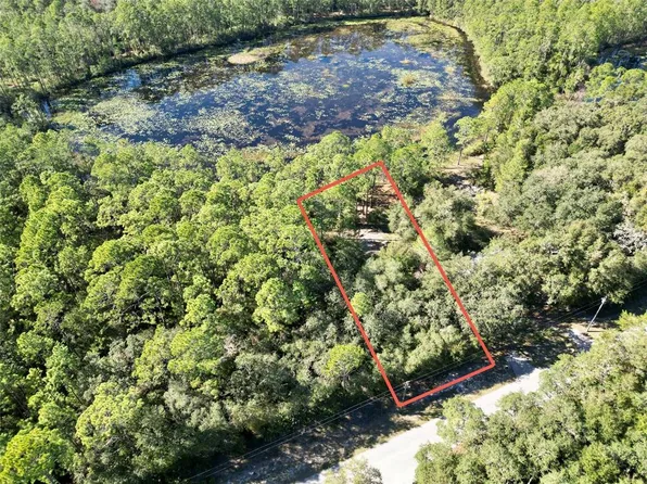 NE 117th Ave Lot 3, Fort Mc Coy, FL 32134