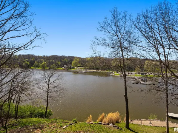 225 N Shore Pl, Dahinda, IL 61428