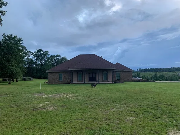 17035 Brannan Fork Rd, Citronelle, AL 36522