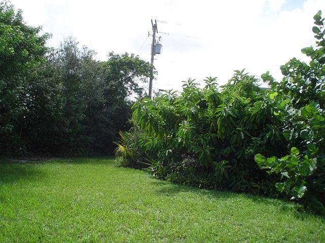 Tropical back yard