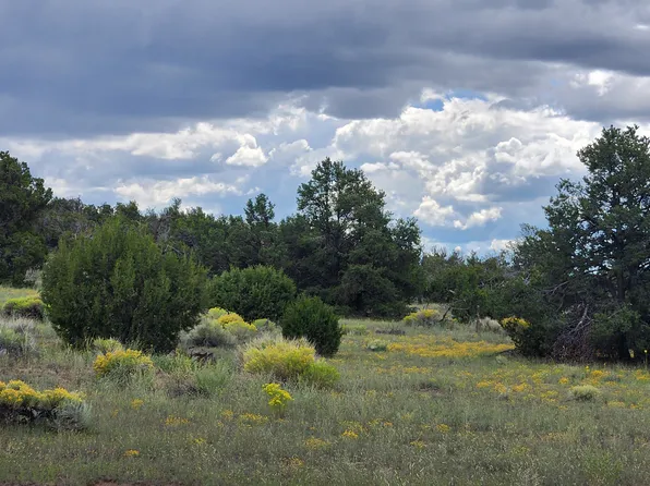 73 Tonto Pass Rd, Quemado, NM 87829