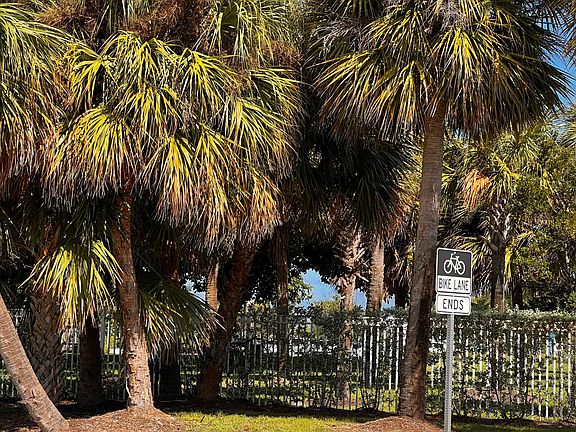 intracoastal across the street
