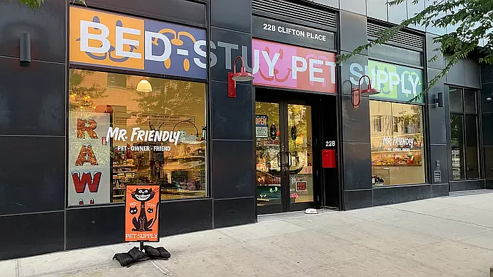 Rented by Platinum Properties | media 31