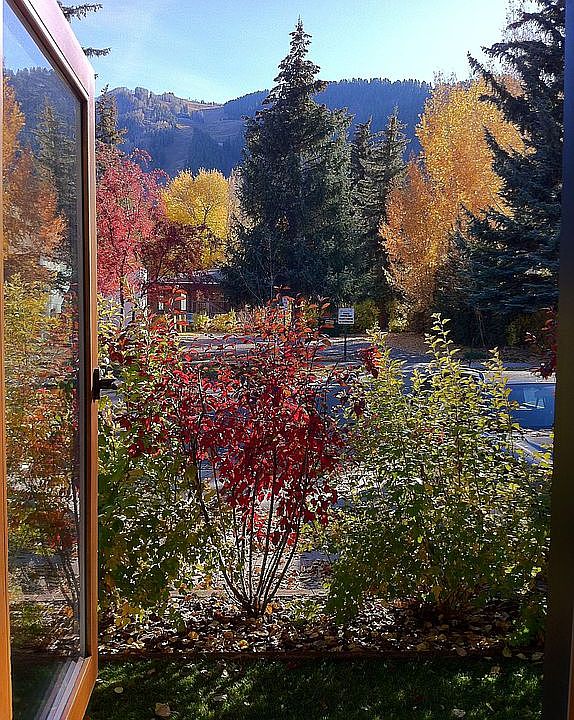 Fall View of Ajax 
