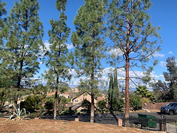 View from front of home