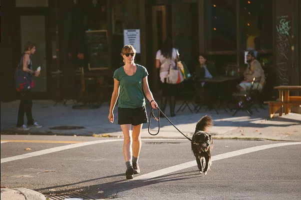 Rented by SCOUTBK.COM | media 46