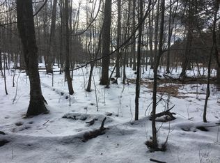 15 Roat Dr, Lisle, NY 13797