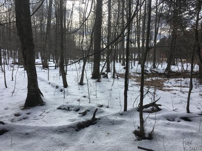 15 Roat Dr, Lisle, NY, 13797