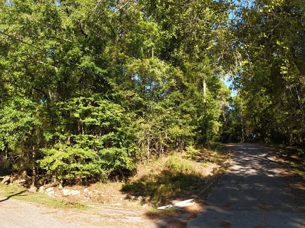 0 Forest Pass, Jackson, AL 36545