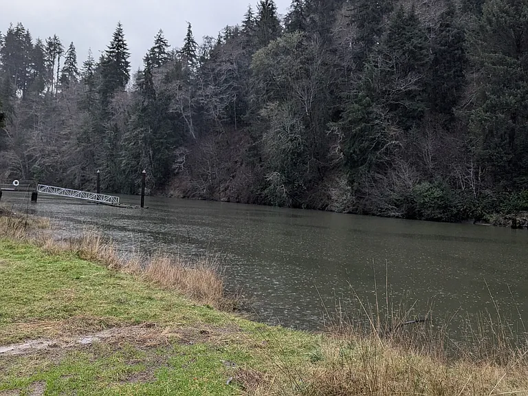 River fishing, salmon, trout, coho, steelhead. Right at your backyard, all you can eat!