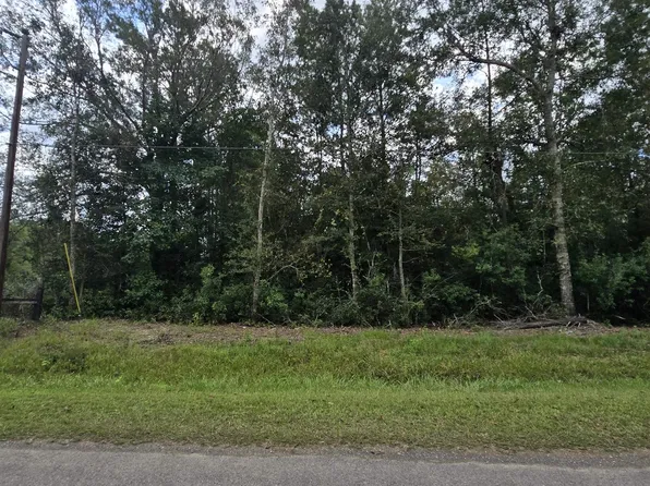 00 TBD Whitetail Forest Rd, Kountze, TX 77625