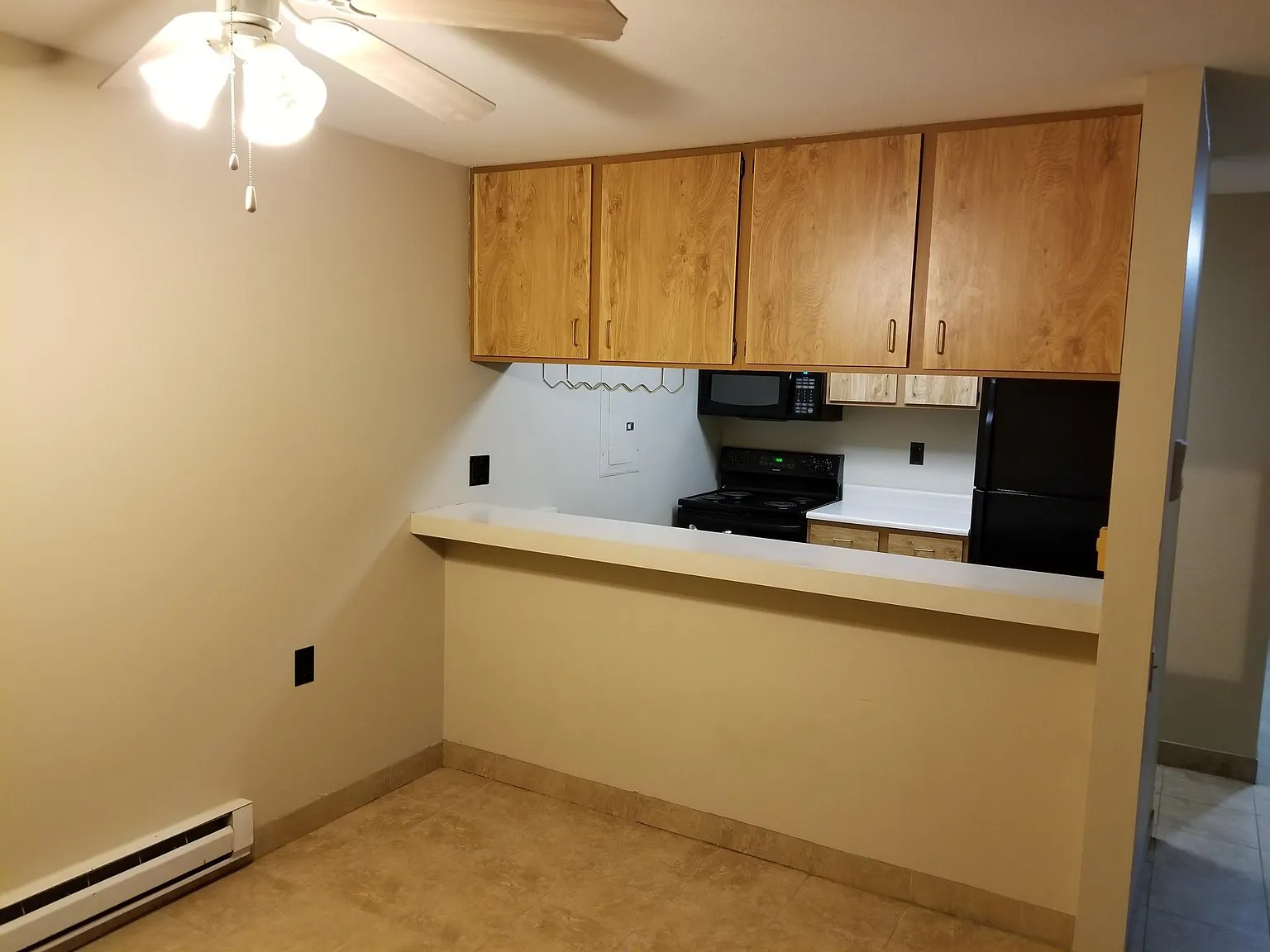 2 bed, 1000 sqft, $1,500 — Photo 4