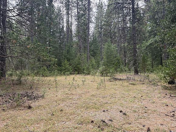 3rd image of 410 Gratten Flat Rd