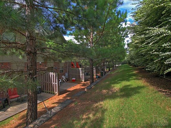 Back Patio / BBQ Area