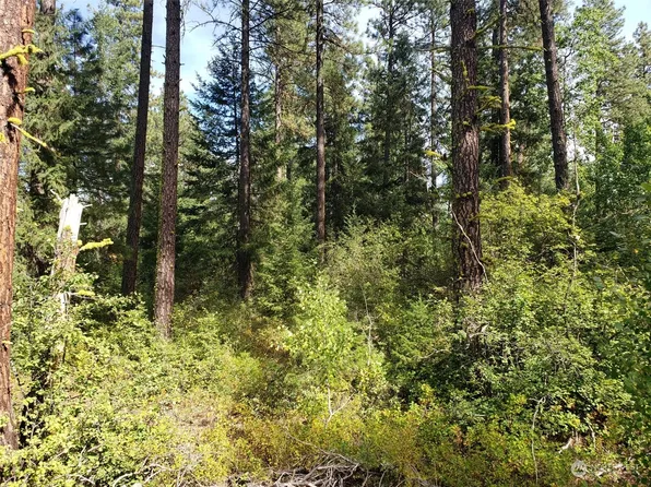 0 NE Kissin Tree Lane, Tahuya, WA 98588