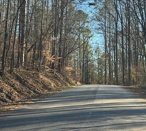 4th image of 0 Santa Claus Rd #8 & 9