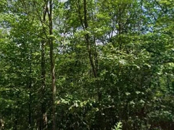 Point Phillips Rd, Kunkletown, PA 18058