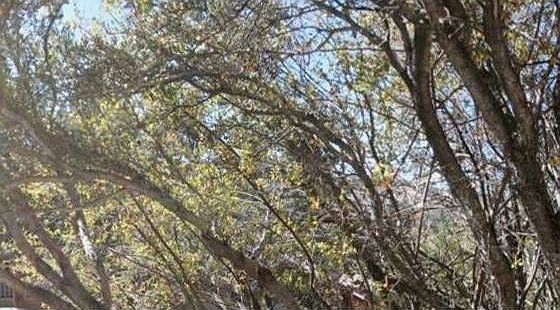 1st image of 43846 Canyon Crest Dr