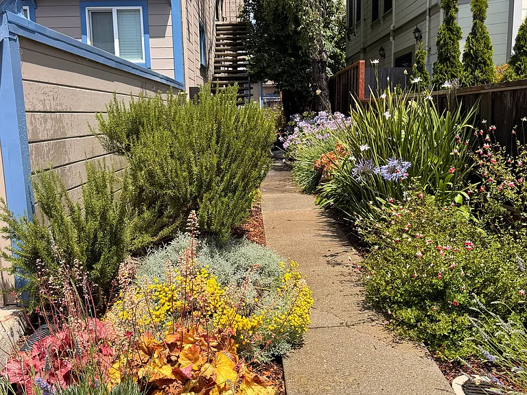 1929 Haste St #6 — Photo 2