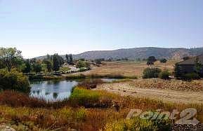 Quail Meadow 1