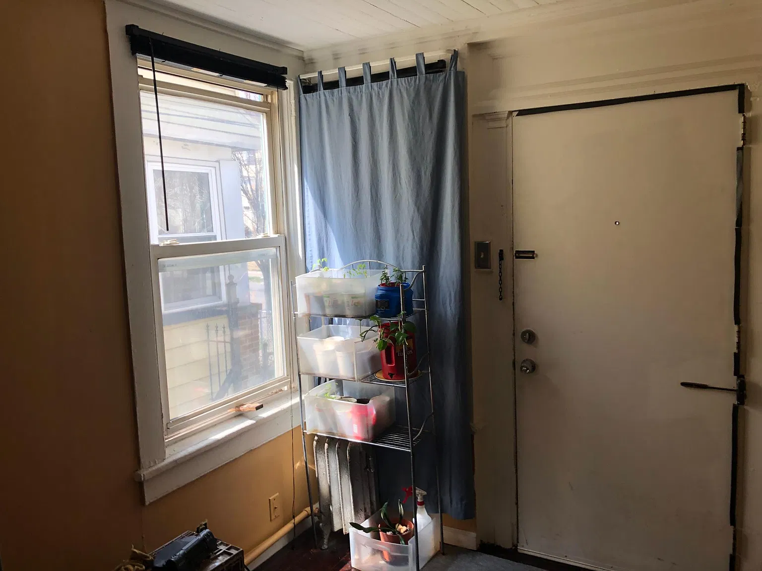 1 bed, 100 sqft, $1,250 — Photo 2