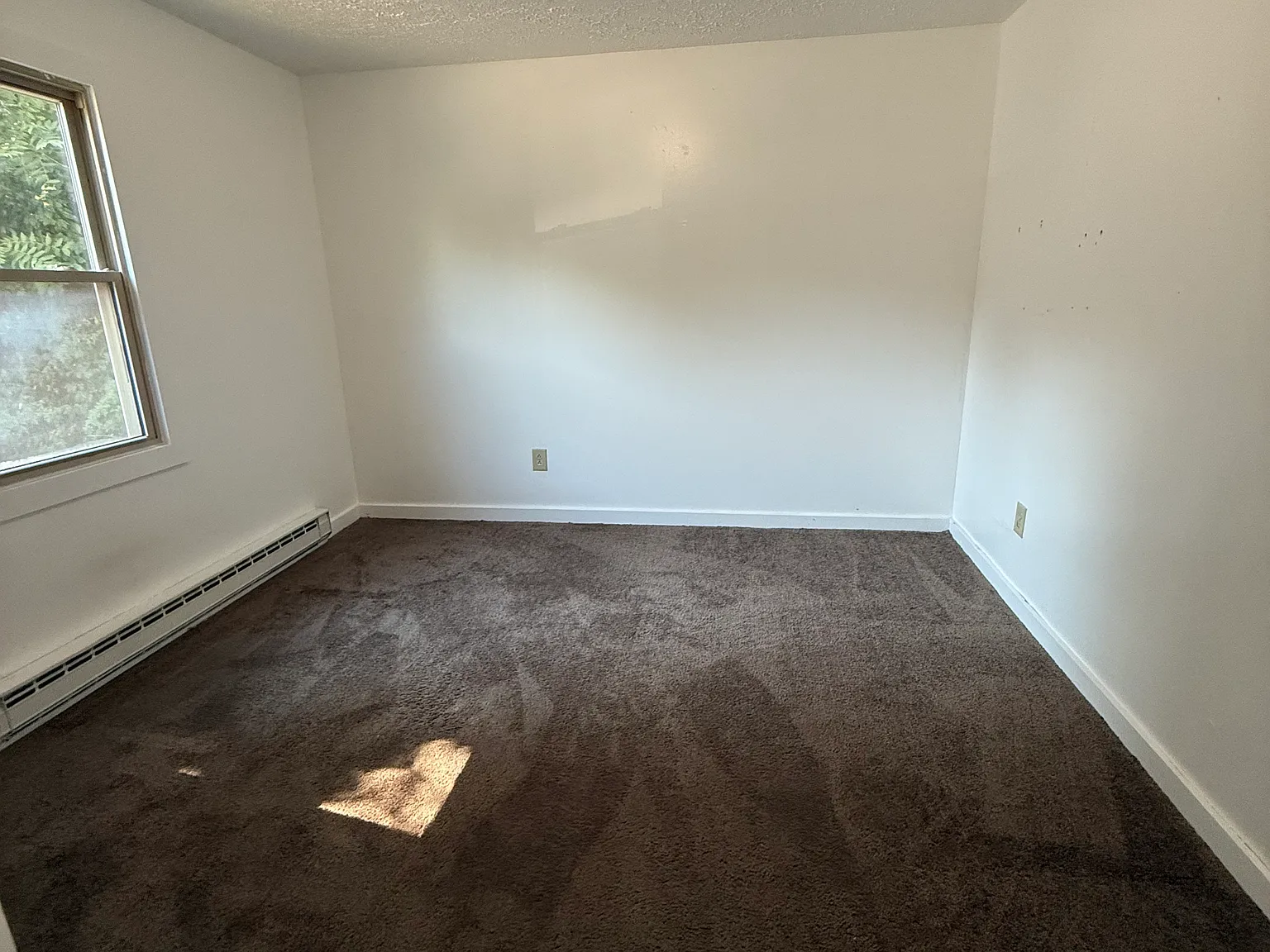 2 bed, $850 — Photo 4