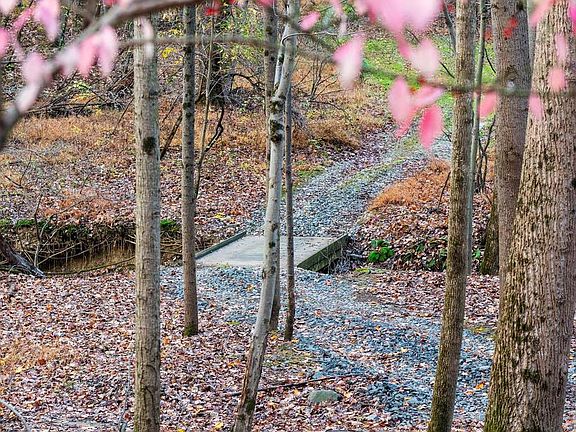 2nd image of 4224 Piney Grove Rd