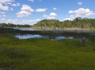 38748 Berchfield Rd S, Lady Lake, FL 32159