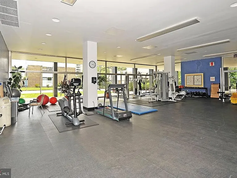 The gym