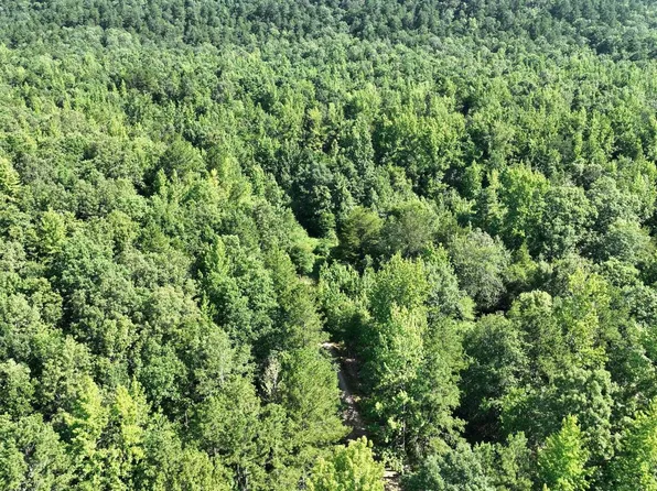 Polk Rd #69, Mena, AR 71953