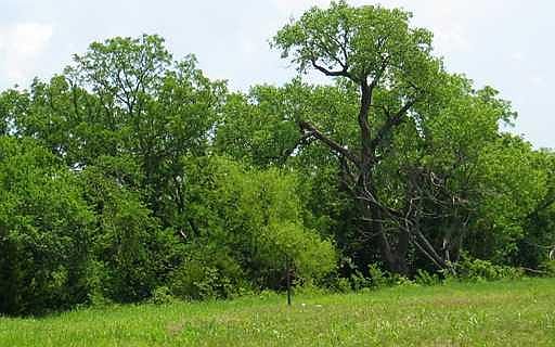 2nd image of 8604 NW 155th Pl Lot 15