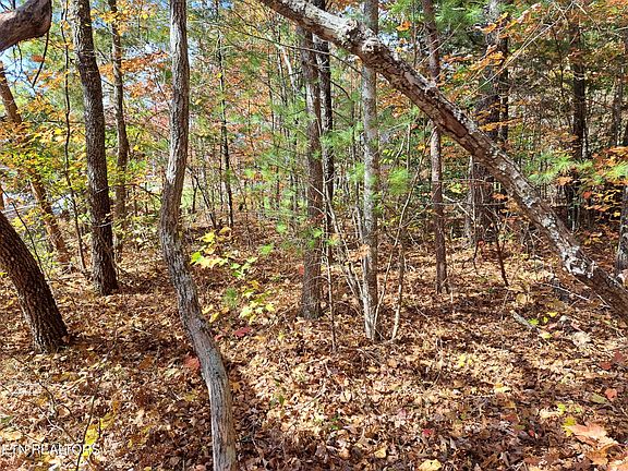 3rd image of 131 Laswell Ln Lot 82