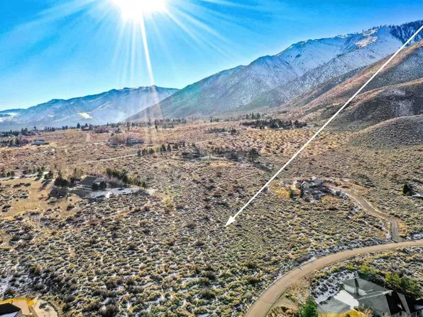 14 Hawkins Peak Rd, Markleeville, CA 96120