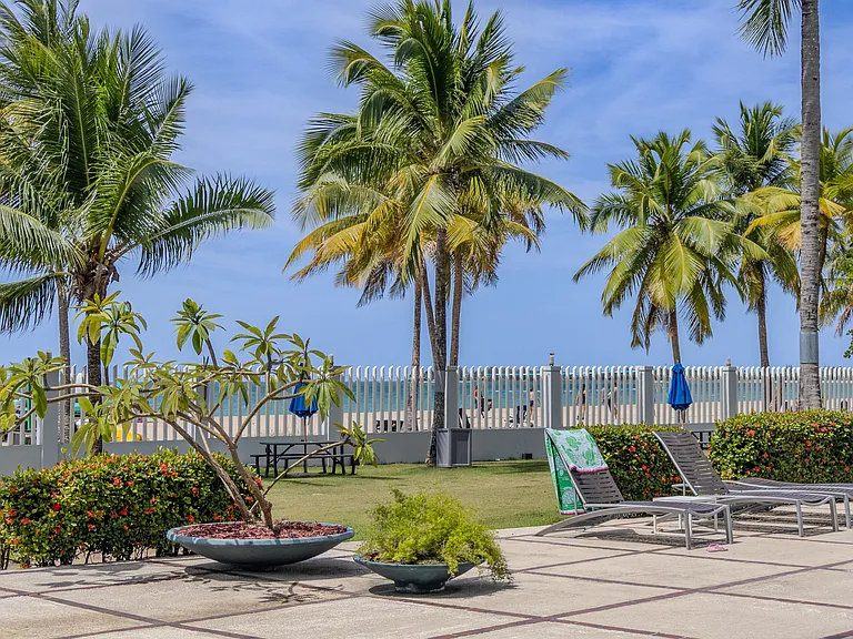Playa Dorada — Photo 12