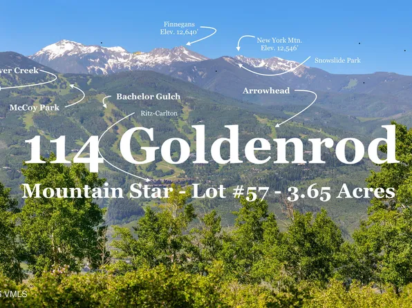 114 Goldenrod Rd, Avon, CO 81620