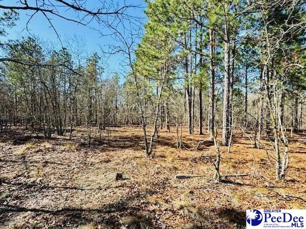 State Line Rd, Bennettsville, SC 29512