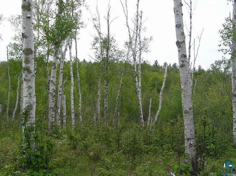 2nd image of xxxx Wildridge Estates Lot 2 Block 6