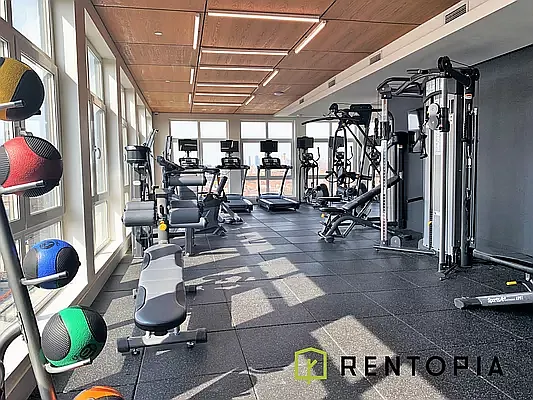 Rented by Rentopia | media 74